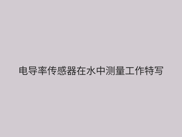电导率传感器：原理、应用与选型指南，精准测量水质关键参数