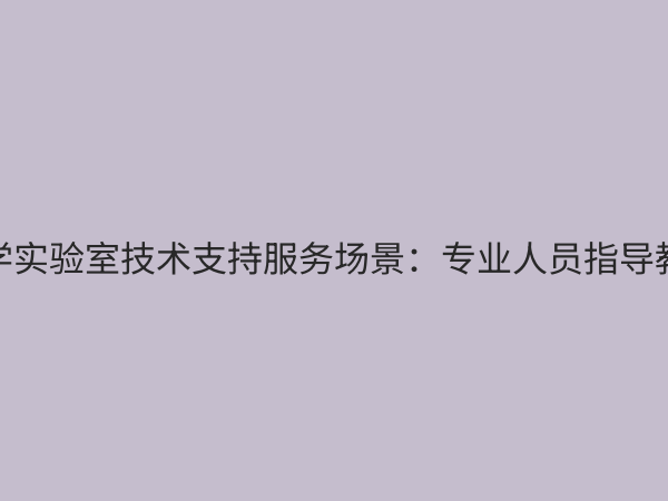 小学实验室技术支持服务：保障科学教育安全高效的核心支撑