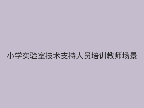 小学实验室技术支持服务：保障科学教育安全高效的核心支撑