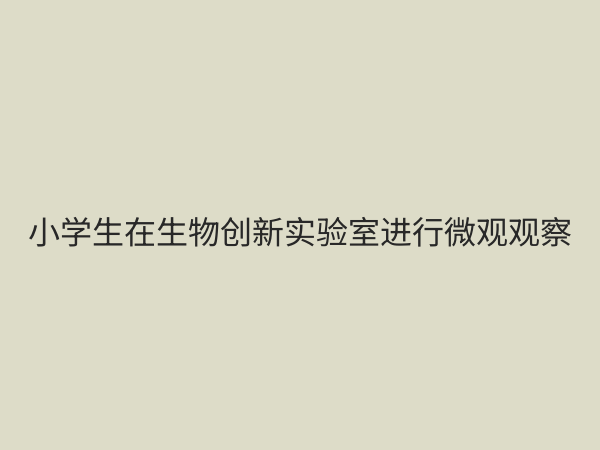 小学生物创新实验室：点燃科学梦想，培养未来生命科学家