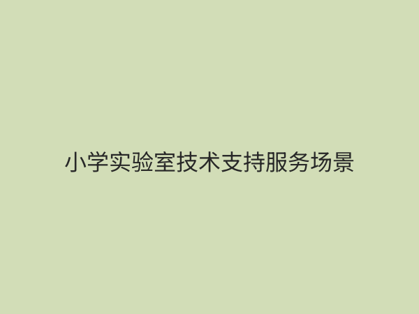 小学实验室技术支持服务：如何保障实验教学安全高效运行