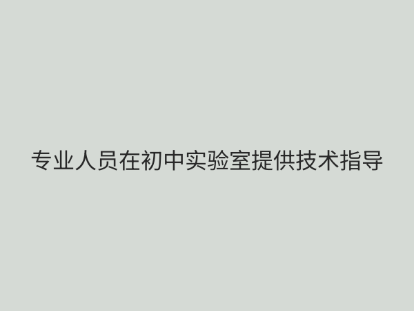 初中实验室技术支持服务：保障实验教学安全与效率的必备支撑