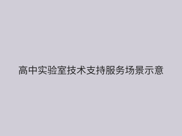 高中实验室技术支持服务：保障实验教学安全高效的核心支柱