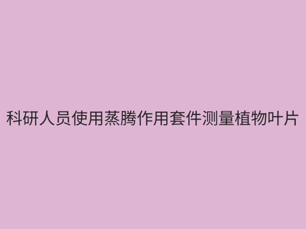 蒸腾作用套件：植物生理实验教学与科研的必备工具详解